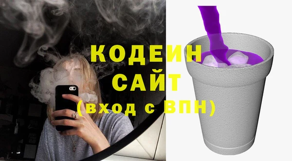 индика Ачинск