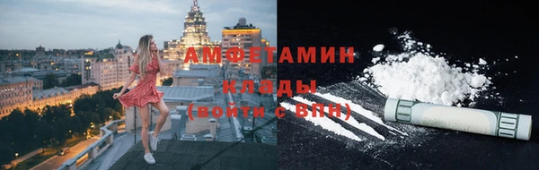 индика Волосово