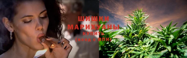 индика Волосово