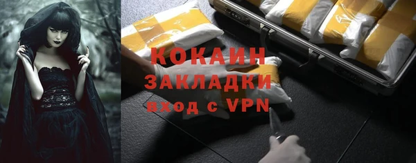 индика Волосово
