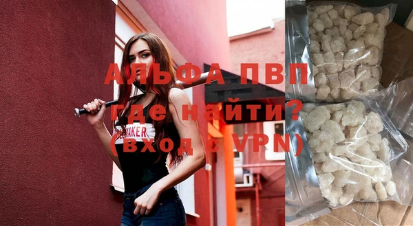 индика Волосово