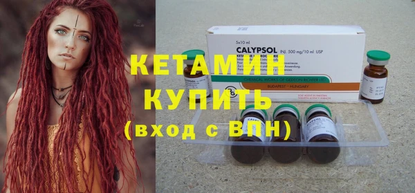индика Волосово