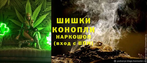 индика Волосово