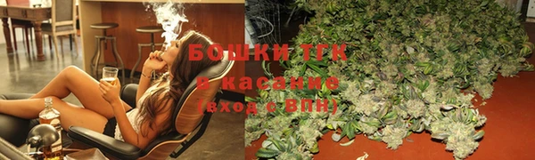 индика Бронницы