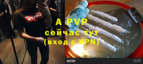 индика Волосово