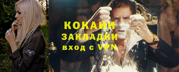 индика Волосово