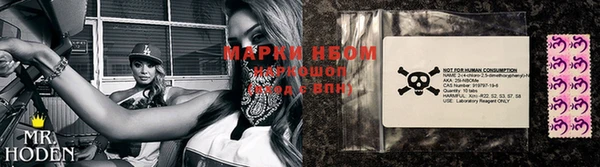 индика Волосово